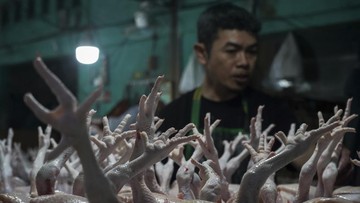 Harga Ayam Tembus Rp100 Ribu, Kemendagri Curiga Dimainkan Distributor