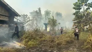 Karhutla di Papua Tengah Capai 396 Hektare, Api Belum Padam