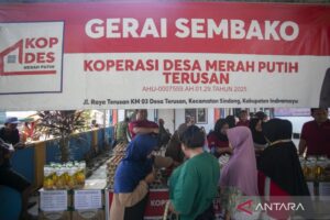 Menkop: Koperasi harus kembali fokus kembangkan bisnis
