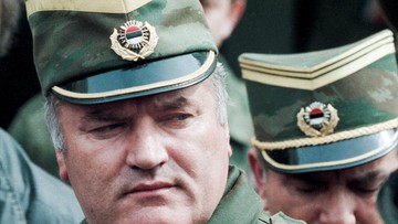 people-ratko-mladicreactions-1787887580926_169